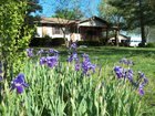 Harrison Bed and Breakfast